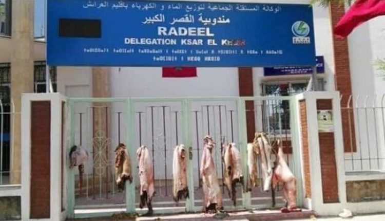 شركة "راديل"