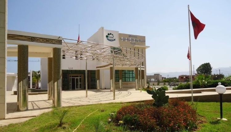 شبيبة المصباح