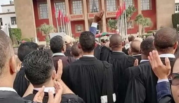 هيئات المحامين