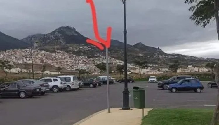 الجيليات الصفراء