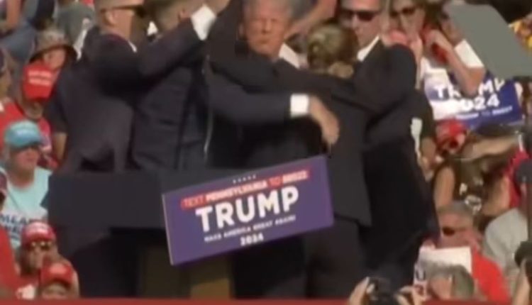 دونالد ترامب