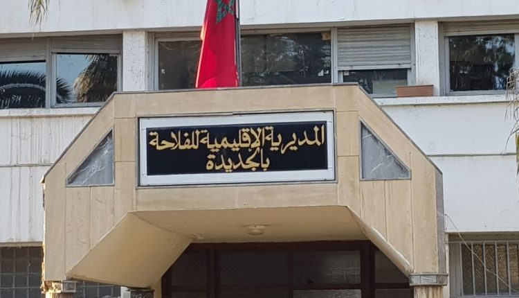 المدير الجهوي