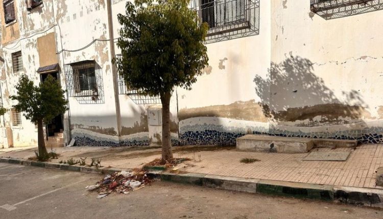 فضاءات السعادة