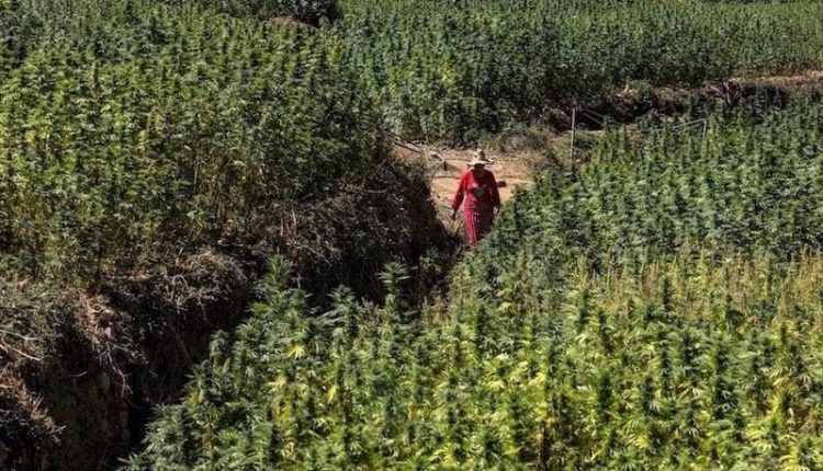 قيادة تنقوب