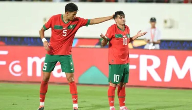 المنتخب الوطني