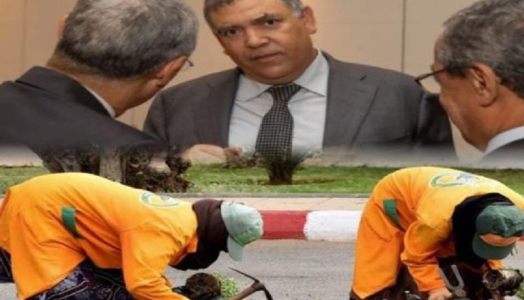 البروج