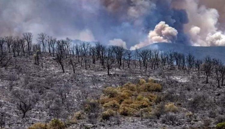 الأمم المتحدة