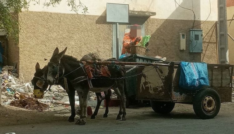 سطات