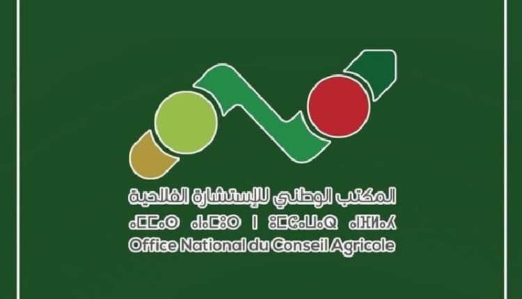 المديرية الجهوية