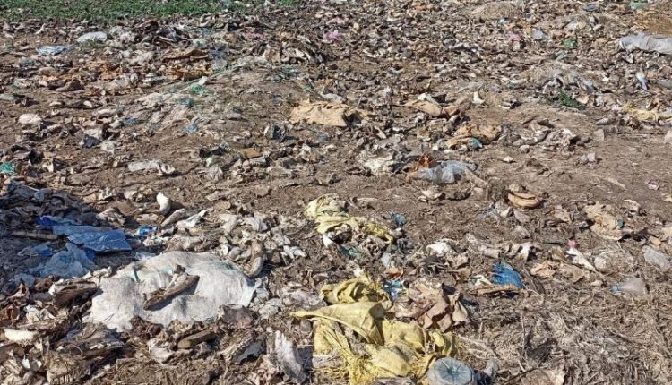 الذبح العشوائي