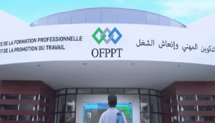 حاملي الشهادات