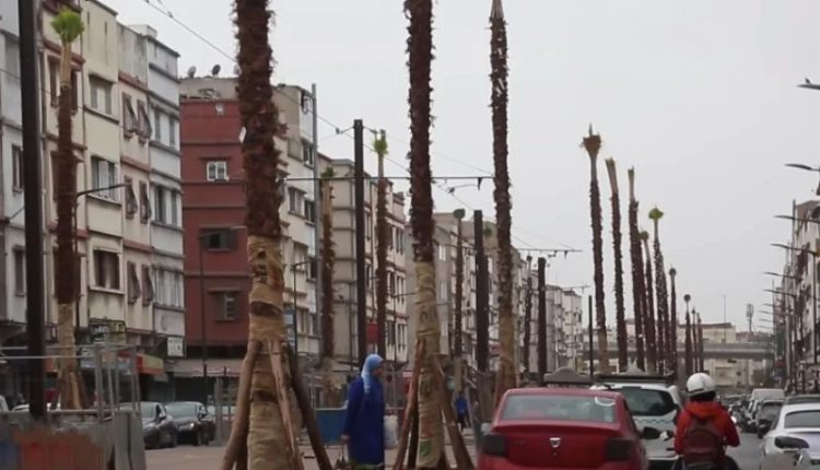 التوقف العشوائي