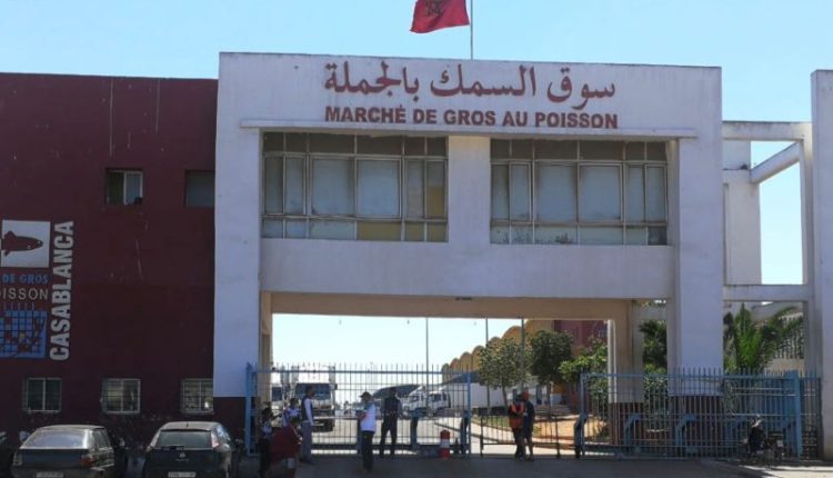 تجار الجملة