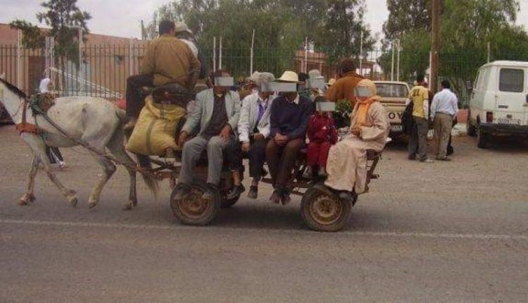 العربات المجرورة