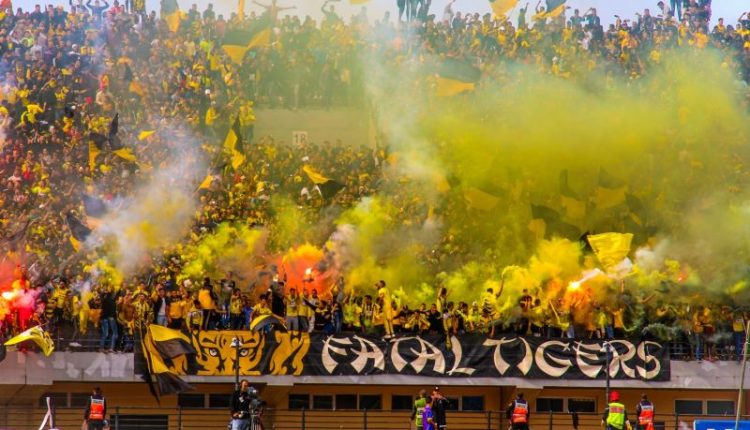 فاتال تايغرز