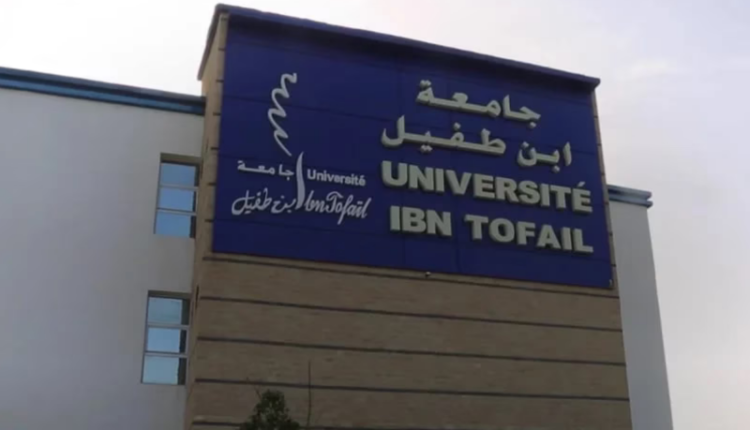 جامعة ابن طفيل