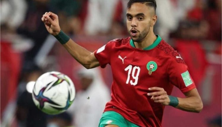 محمد الشيبي