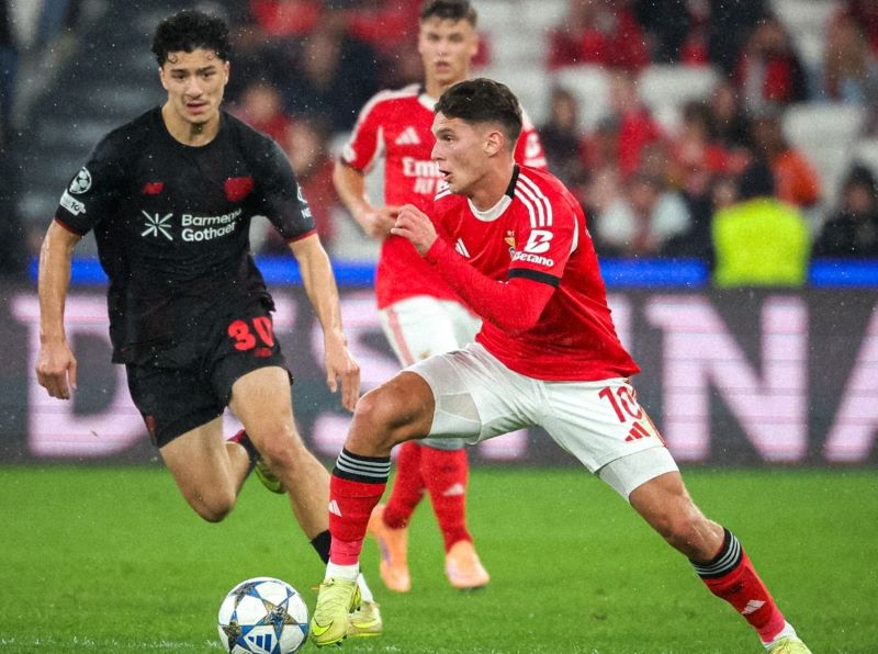 Sorry! Image not available at this time