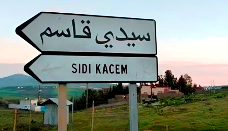 سيدي قاسم